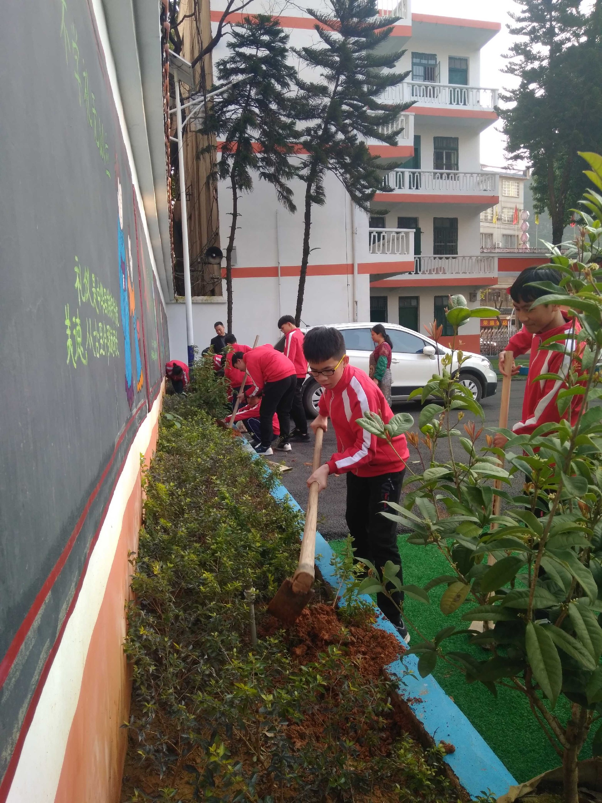 植树节活动照片照片-微信图片_20190312222041