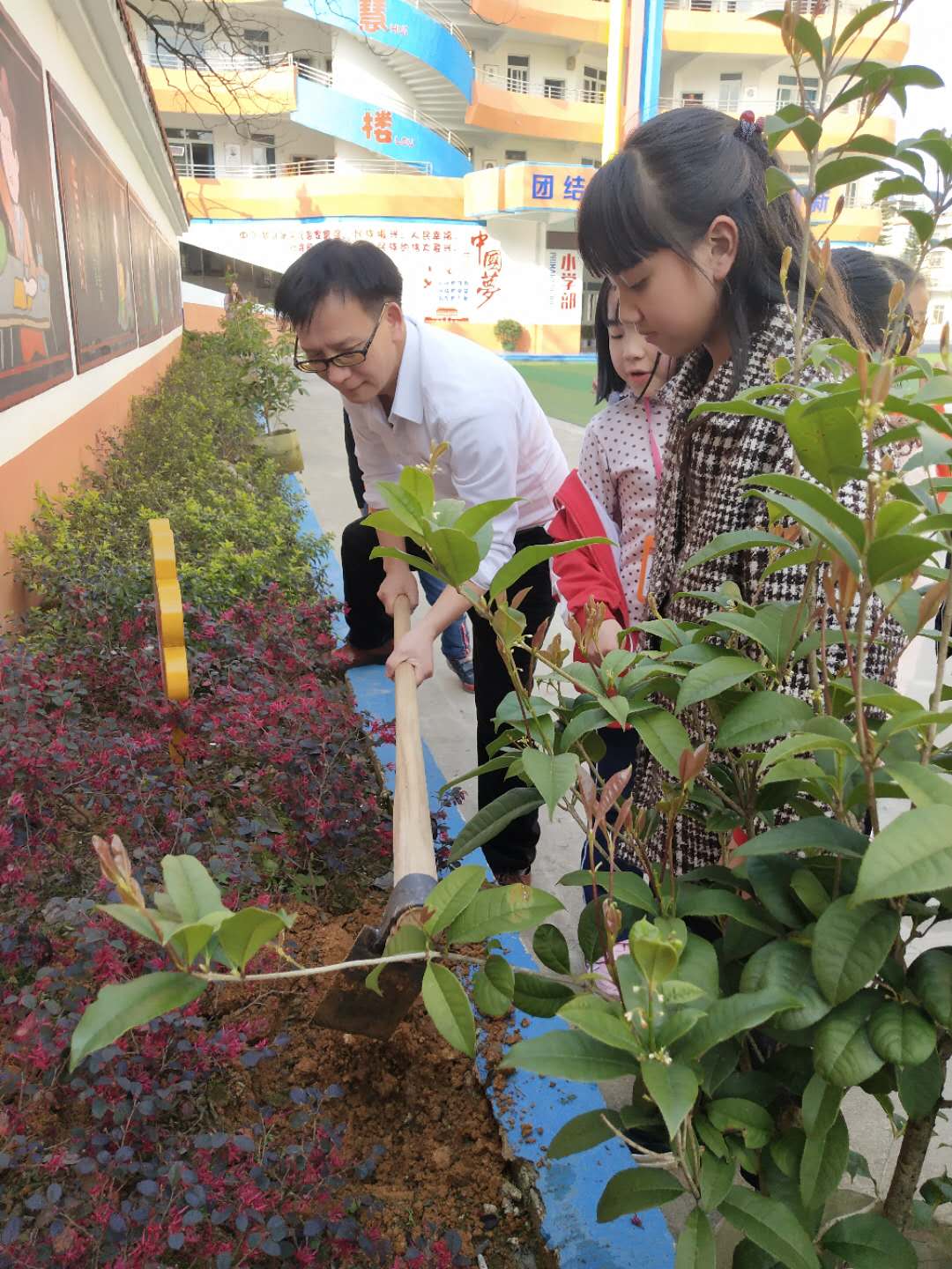 植树节活动照片照片-微信图片_20190312222450