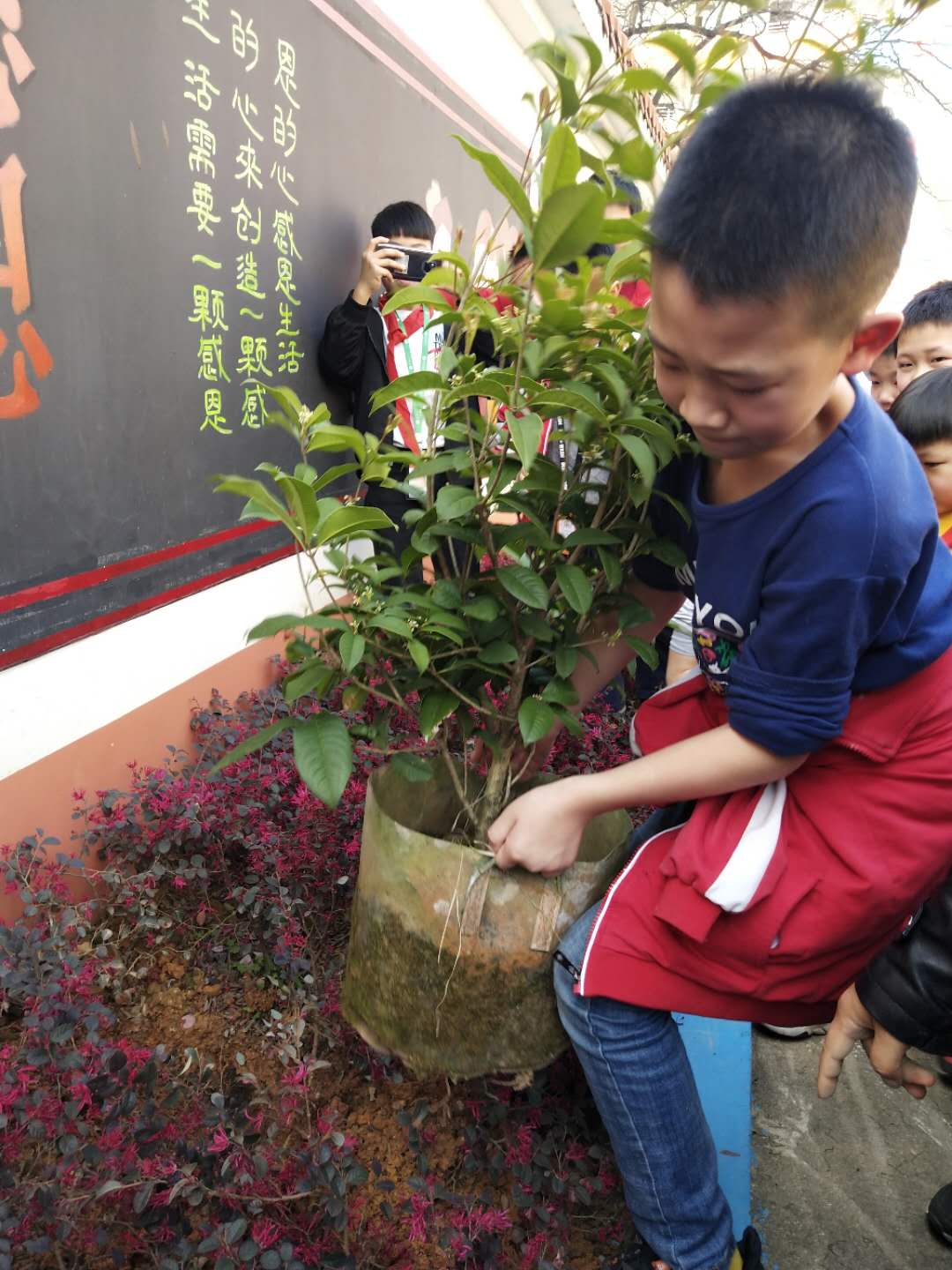 植树节活动照片照片-微信图片_20190312222442