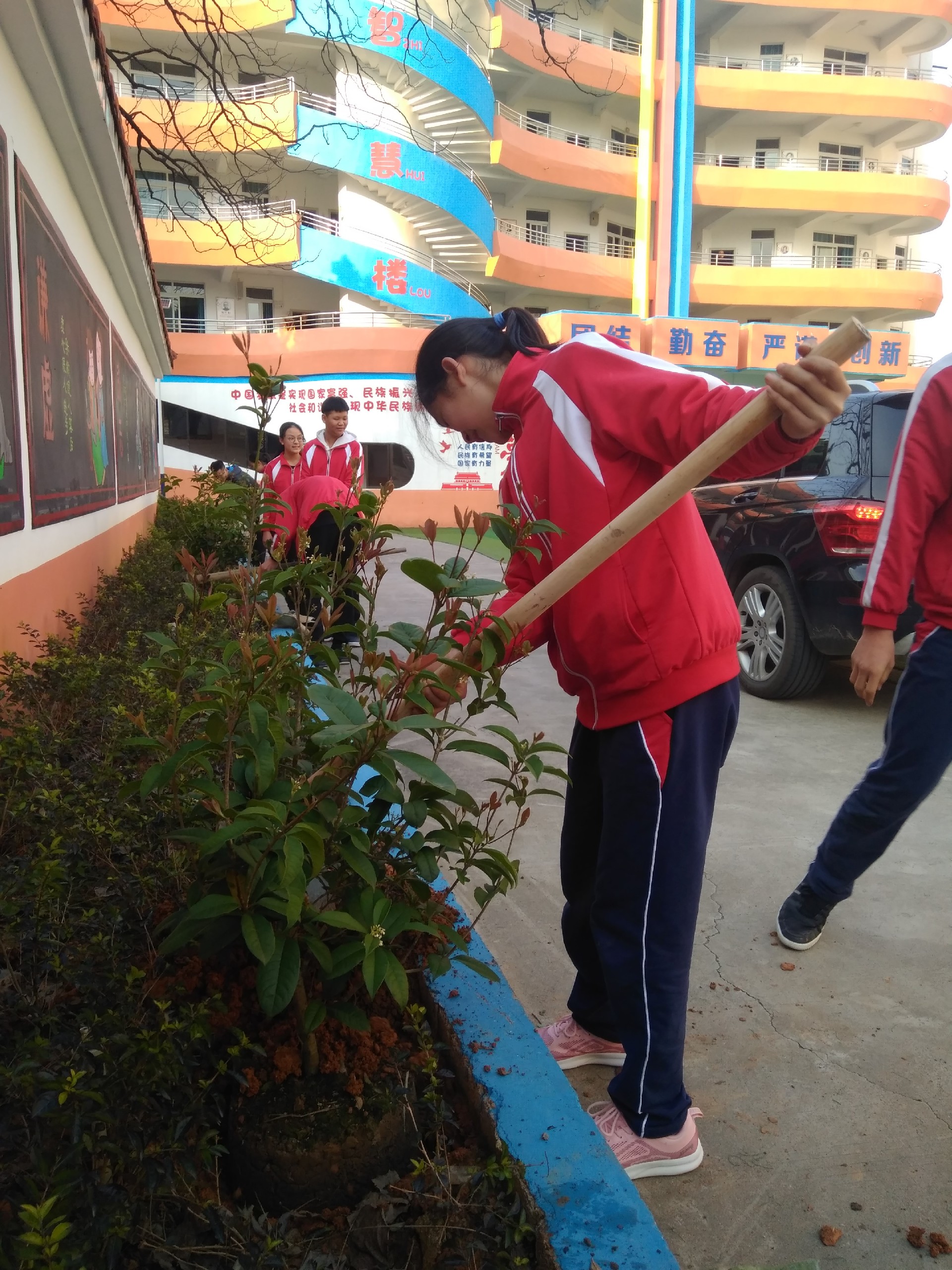 植树节活动照片照片-微信图片_20190312222059