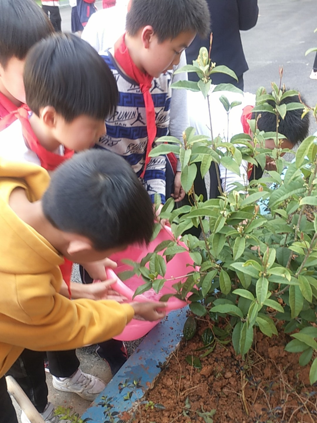 植树节活动照片照片-微信图片_20190314075437